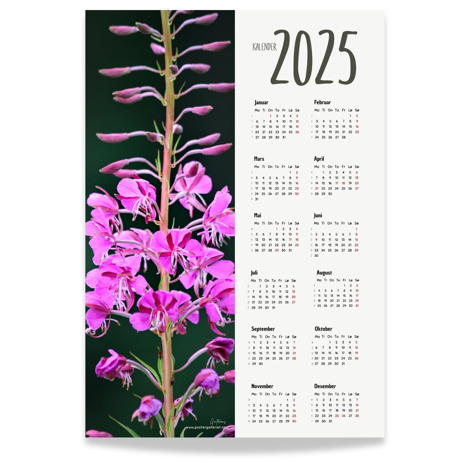 Planlegg året med stil med Kalender 2025! Kalenderen er både funksjonell og dekorativ, og passer perfekt på veggen.