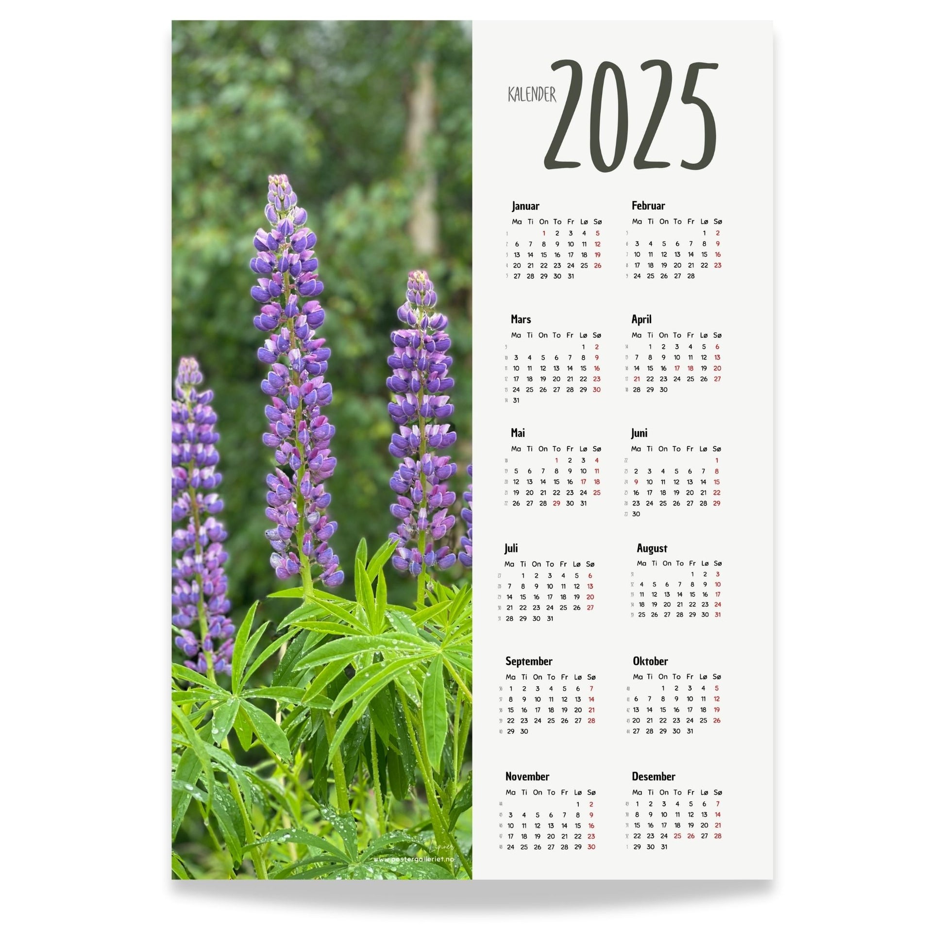 Planlegg året med stil med Kalender 2025! Kalenderen er både funksjonell og dekorativ, og passer perfekt på veggen. 