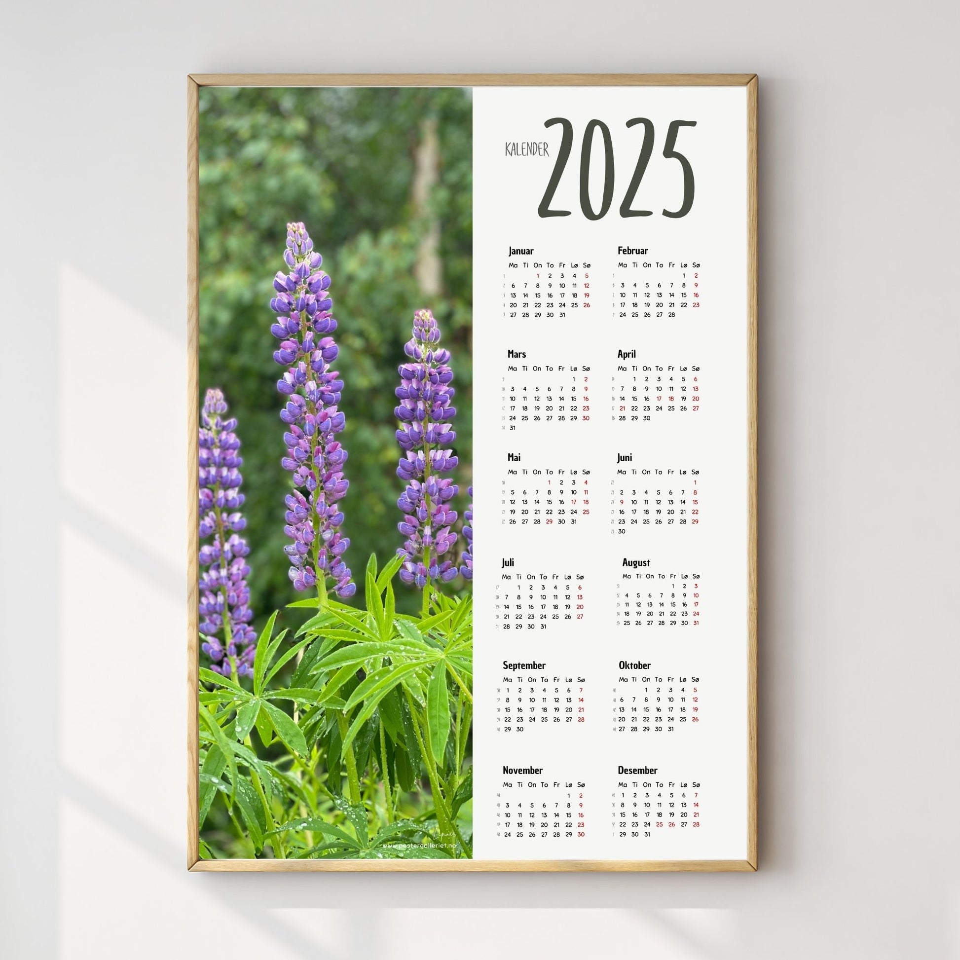 Planlegg året med stil med Kalender 2025! Kalenderen er både funksjonell og dekorativ, og passer perfekt på veggen. Ilustrasjonsfoto viser kalender i lys ramme.