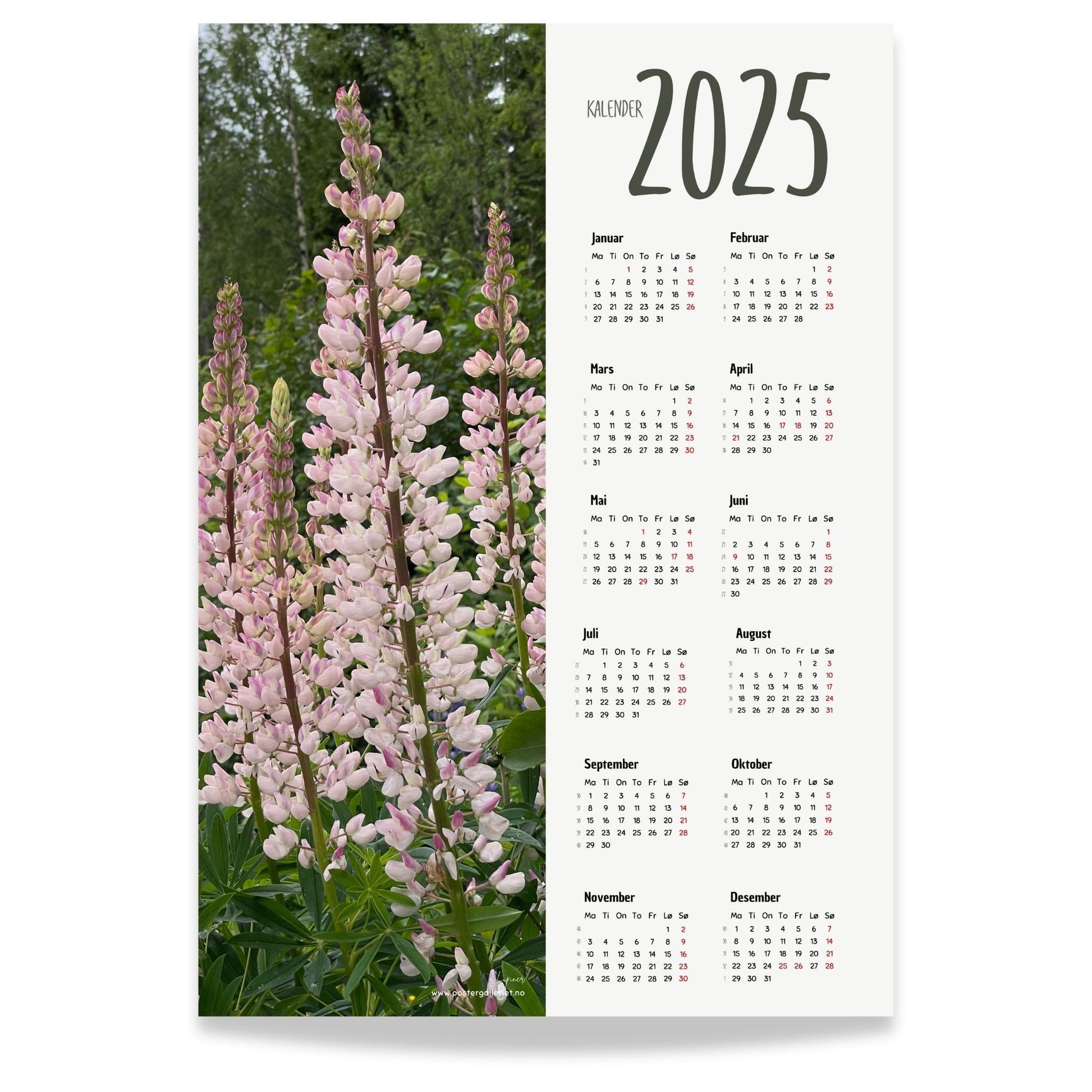 Planlegg året med stil med Kalender 2025! Kalenderen er både funksjonell og dekorativ, og passer perfekt på veggen. 