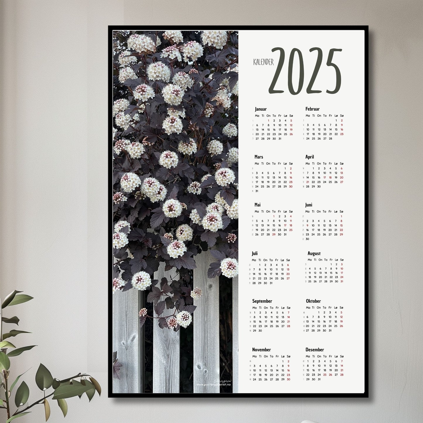 Planlegg året med stil med Kalender 2025! Kalenderen er både funksjonell og dekorativ, og passer perfekt på veggen. Ilustrasjonsfoto viser kalender i sort ramme.