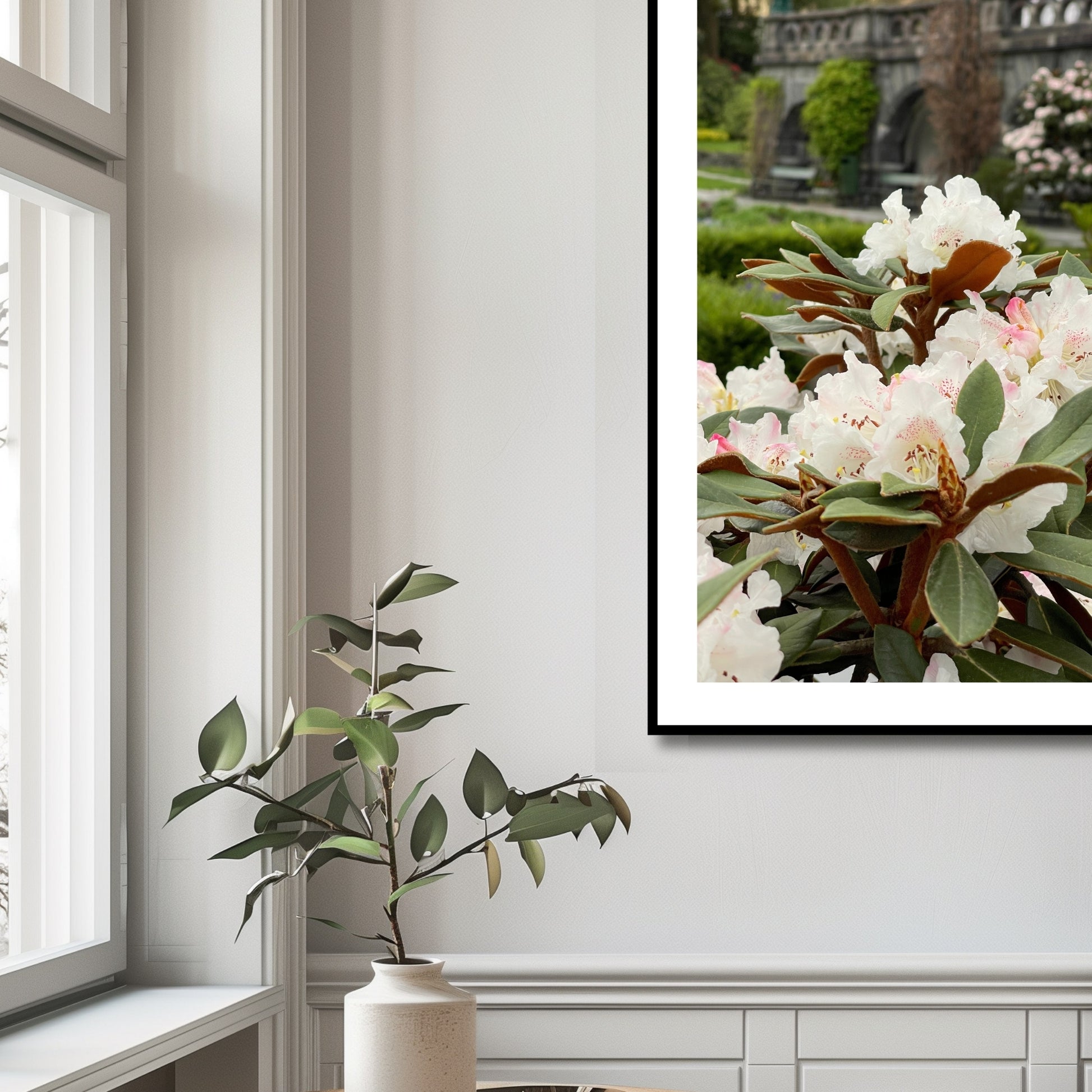 Denne vakre plakaten eller lerretet fanger essensen av naturens skjønnhet med Rhododendronens fantastiske blomsterprakt. Illustrasjonsfoto viser motivet som plakat i sort ramme.