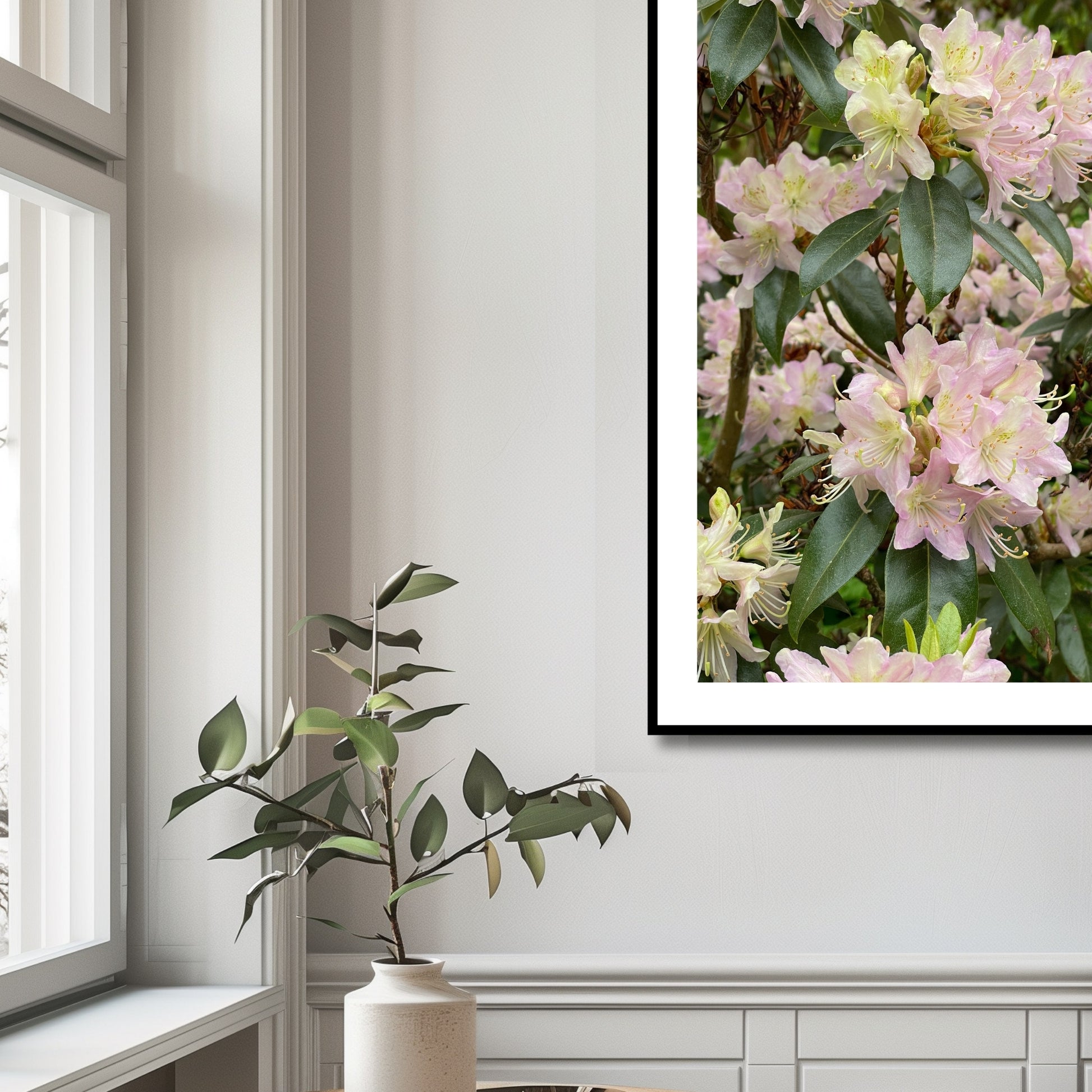 Denne vakre plakaten eller lerretet fanger essensen av naturens skjønnhet med Rhododendronens fantastiske blomsterprakt. Illustrasjonsfoto viser motivet som plakat i sort ramme.