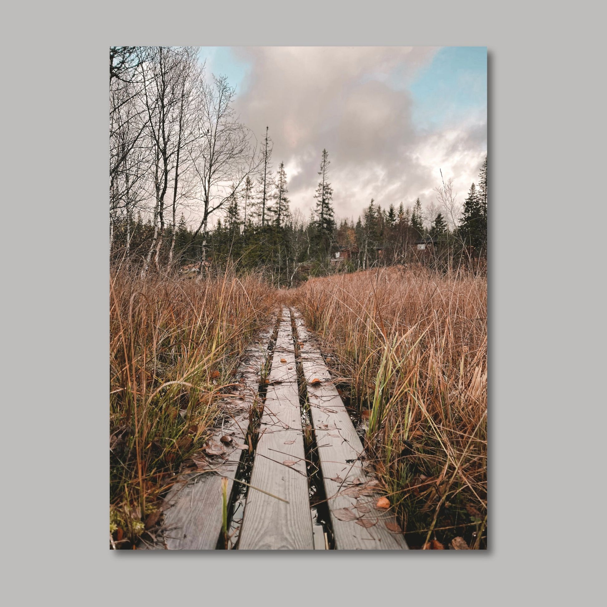 Ta naturen inn i rommet med plakat av norsk natur! Nå kan du dekorere veggen din med høstbilder fra Fergeli i Trøndelag. Sviller for å gå på i myra- Høstfarget grass, fjell og skog i bakkant av bildet. Illustrasjonsfoto viser motivet på lerret.