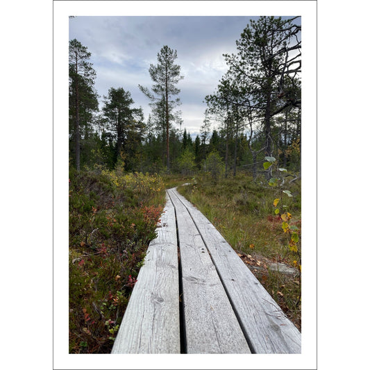 Utforsk den vakre og rolige naturen i Trøndelag med denne plakaten eller lerretet som fanger en stemningsfull sti gjennom Byafjellet i Steinkjer.