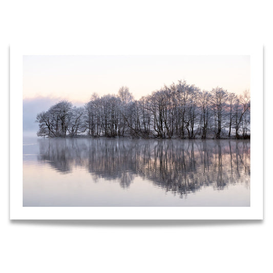 Dette kunstverket, tilgjengelig som plakat og lerret, viser en stille skog ved vannkanten, innhyllet i et lett vinterdis og med trærne dekket av frost. 